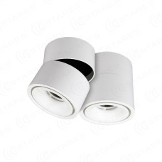 Светодиодный поворотный светильник DRUM 12W R-100-WW-WHITE-220-IP44