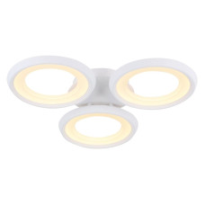 Потолочная светодиодная люстра Freya Blis FR6010CL-L51W