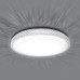 Управляемый светодиодный светильник PLUTON 40W R-400-SHINY-220-IP44 /2019